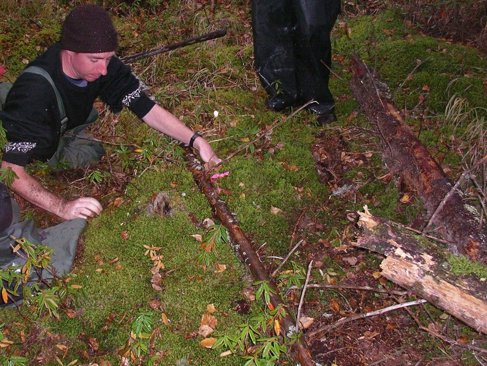 Steve at a peat hummock hibernacula at the pasture area